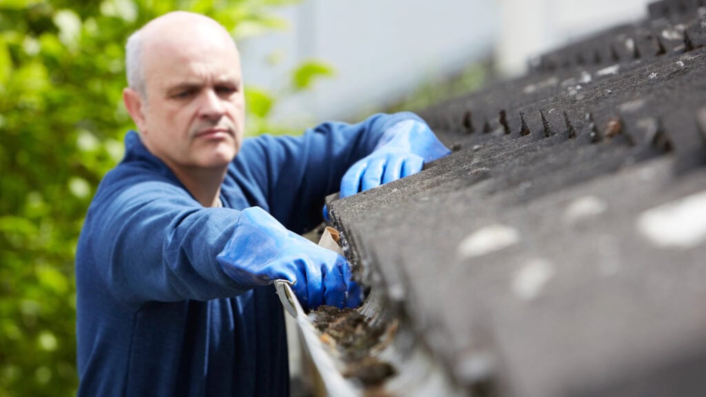 Man Clearing Leaves From Guttering Of House