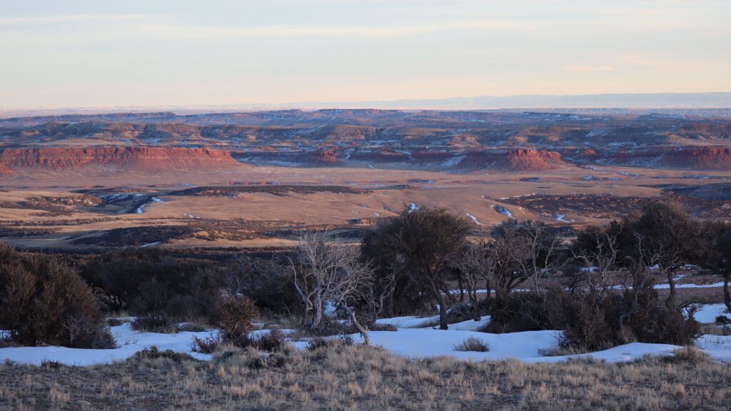 A panoramic view of a vast landscape with snow-covered ground, sparse trees, and red rock formations under a cloudy sky.
