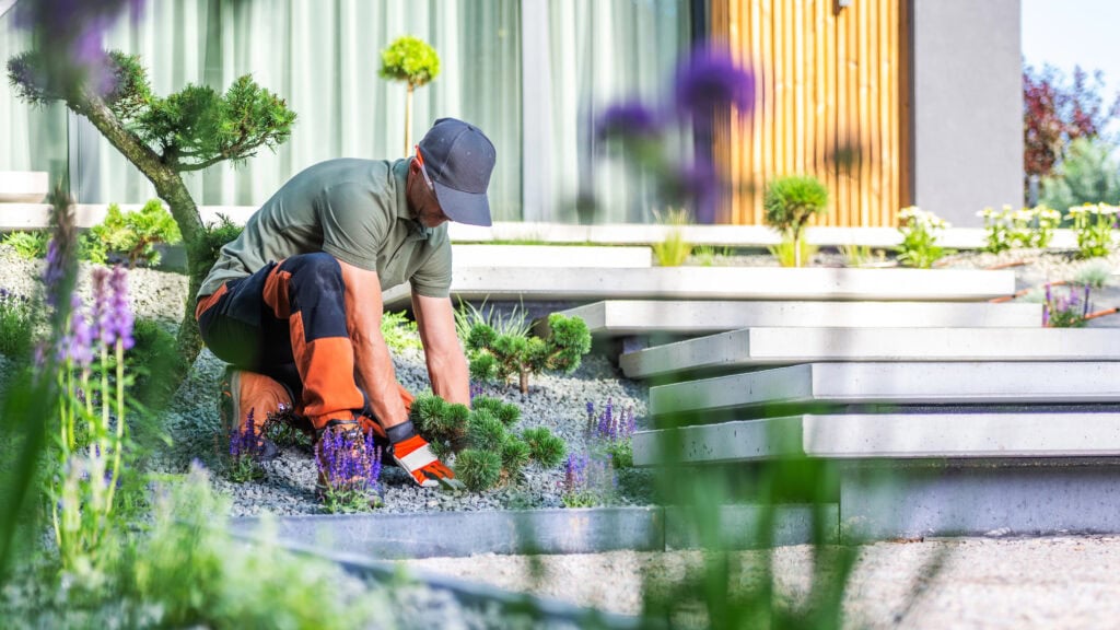 Gardener kneeling on gravel, tending to a landscaped garden with green plants and a small tree. Steps and a modern building are visible in the background.