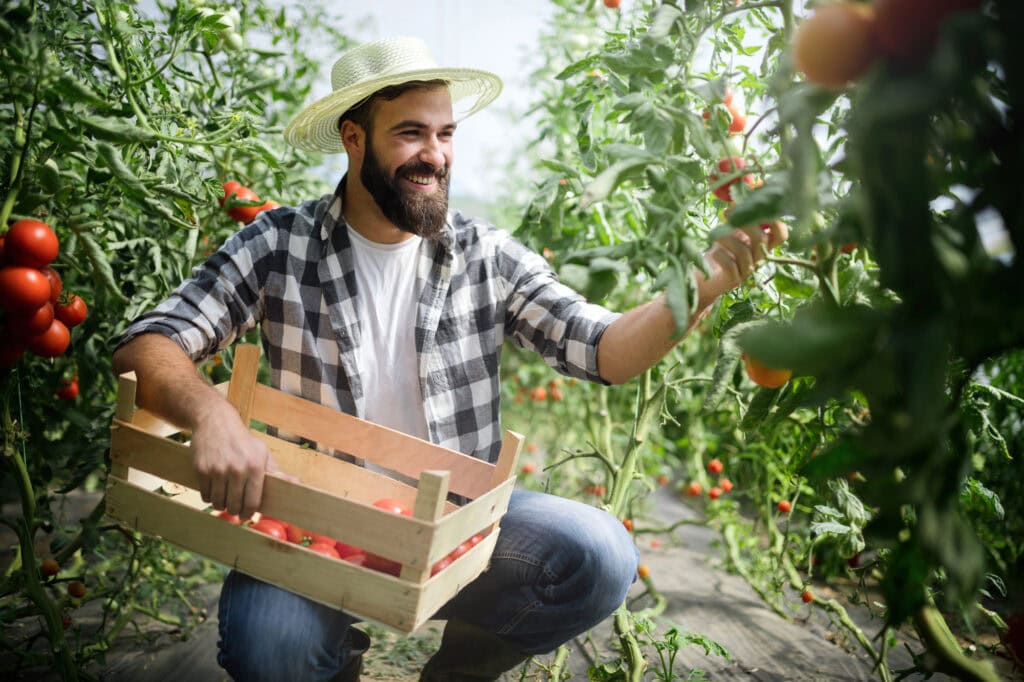 Handsome young man working in a greenhouse.
