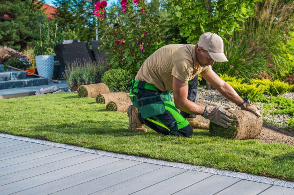 Residential Landscaping Theme. Professional Caucasian Landscaper Installing New Grass Turfs in the Backyard Garden.